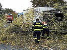 Popadané stromy museli řešit také hasiči z Karlovarského kraje. (21. října 2021)
