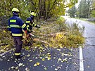 Popadané stromy museli řešit také hasiči z Karlovarského kraje. (21. října 2021)