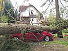 Na Karlovarsku spadl kvůli silnému větru strom na zaparkované auto i na chatu....