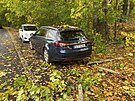 V Libereckém kraji vyjížděli hasiči k desítkám popadaných stromů na komunikaci....