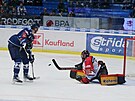 Hokejová extraliga, 16. kolo: Plze - Pardubice