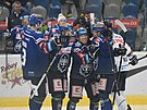 Hokejová extraliga, 19. kolo, Kladno - Liberec. Hrái Kladna se radují z gólu.