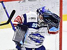 Utkání 19. kola hokejové extraligy: HC Dynamo Pardubice - HC Kometa Brno....