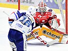 Utkání 19. kola hokejové extraligy: HC Dynamo Pardubice - HC Kometa Brno. Lubo...