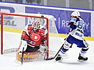 Utkání 19. kola hokejové extraligy: HC Dynamo Pardubice - HC Kometa Brno. Zleva...