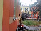 Ve Varech spadl strom budovu mateské kolky