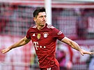 Robert Lewandowski z Bayernu Mnichov oslavuje svj gól do sít Hoffenheimu.