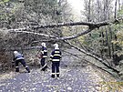 Hasie v Plzeském kraji zamstnávají stromy popadané pes silnice, strené...