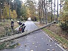 Hasiče v Plzeňském kraji zaměstnávají stromy popadané přes silnice, stržené...