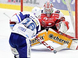 Utkání 19. kola hokejové extraligy: HC Dynamo Pardubice - HC Kometa Brno. Luboš...