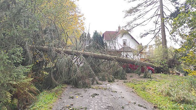 Na Karlovarsku spadl kvůli silnému větru strom na zaparkované auto i na chatu. (21. října 2021)