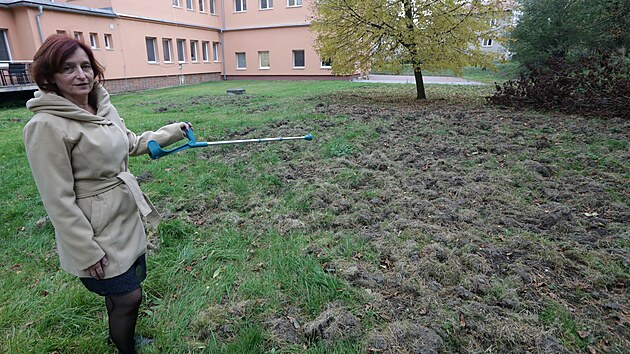 Starostka Hluboek Eva Hasnkov ukazuje nsledky dn divok pmo ve stedu obce. (podzim 2021)