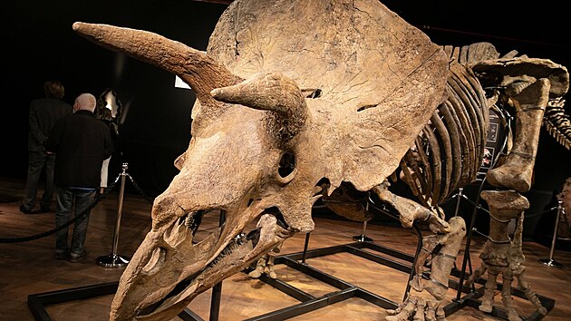 Šestašedesát milionů let starý obr. Nakonec se Big John dostal do aukční síně.