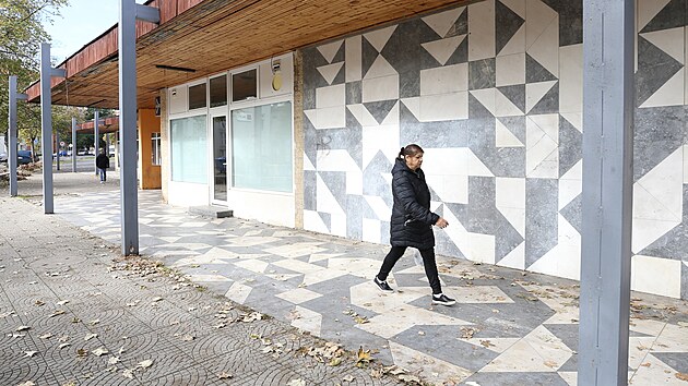Mramorová černobílá mozaika ze druhé poloviny 70. let minulého století se nachází na chodníku a stěně domu ve Studentské ulici.
