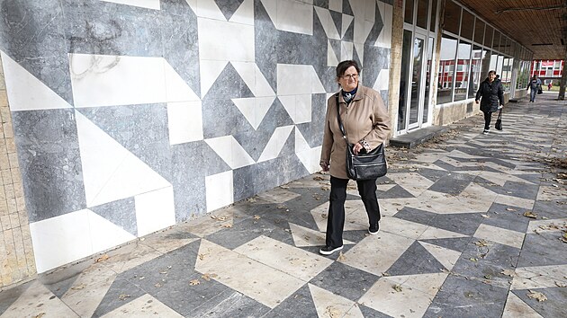 Mozaika se nachz v litvnovsk Studentsk ulici.