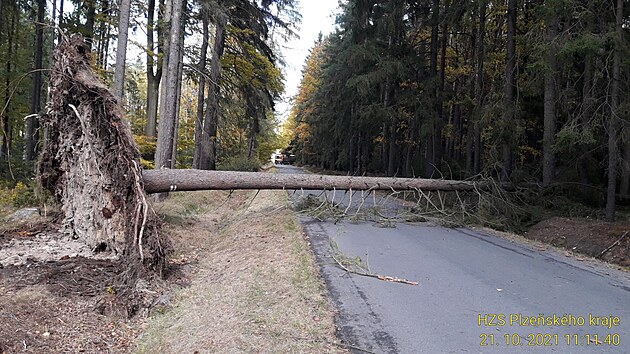 Hasiče v Plzeňském kraji zaměstnávají stromy popadané přes silnice, stržené elektrické dráty i odlétávající části střech.