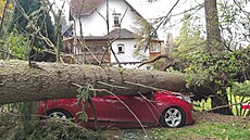 Na Karlovarsku spadl kvli silnému vtru strom na zaparkované auto i na chatu....