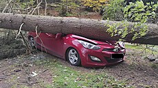 Na Karlovarsku spadl kvůli silnému větru strom na zaparkované auto i na chatu.... | na serveru Lidovky.cz | aktuální zprávy