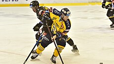 Utkání 16. kola hokejové extraligy: HC Verva Litvínov - PSG Berani Zlín. V...