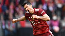 Robert Lewandowski z Bayernu Mnichov oslavuje svj gól do sít Hoffenheimu.
