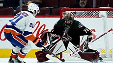 Branká Arizony Karel Vejmelka zasahuje v duelu s NY Islanders.