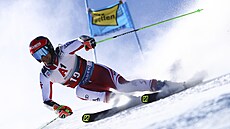 Roland Leitinger na trati obího slalomu v Söldenu