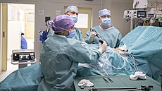 Lékaři pražského IKEM transplantují jednomu z pacientů ledvinu, která...