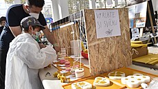 Maker Faire je festival plný workshop a interaktivních aktivit Své projekty a...