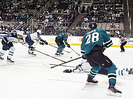 Tom Hertl a Timo Meier ze San Jose kombinuj v utkn proti Winnipegu.