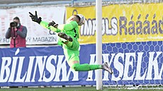 Liberecký branká Milan Knobloch inkasuje gól.