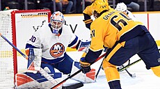 Mikael Granlund z Nashvillu v �anci p�ed Iljou Sorokinem, branká�em Islanders.