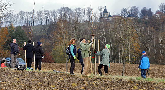 Lidé z iniciativy Chebsko za klima sázejí u Hartovy stezky 25 stromů - javor...