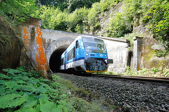 Tunel pod Oldřichovským sedlem
