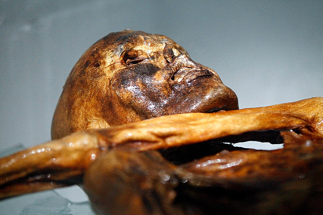 Ötzi nebyl páprda. Nejstarší zkoumaný Evropan mohl být snědý