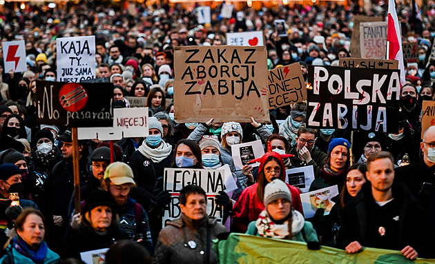 Polsko zaplatí odškodné. Nutilo ženu donosit plod s Downovým syndromem