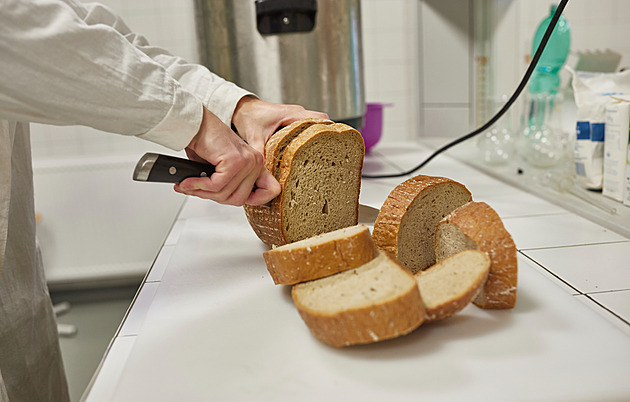 Na Mendelově univerzitě uvařili pivo z nepostřebovaného chleba, chtějí zamezit...