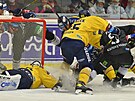 22. kolo hokejové extraligy: HC Energie Karlovy Vary - PSG Berani Zlín. Potyka...