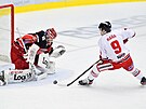 Utkání 22. kola hokejové extraligy: Mountfield Hradec Králové - HC Olomouc....