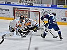 23. kolo hokejové extraligy: HC Kometa Brno - HC Sparta Praha. Peter Mueller z...