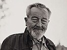 Taras Kuynskyj: Jan Werich (70. léta)
