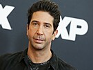 David Schwimmer (Pasadena, 16. ledna 2016)