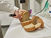 Na Mendelově univerzitě uvařili pivo z nepostřebovaného chleba, chtějí zamezit...