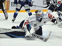 22. kolo hokejové extraligy: HC Kometa Brno - HC Škoda Plzeň. Brankář Plzně...