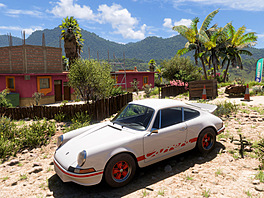 Forza Horizon 5
