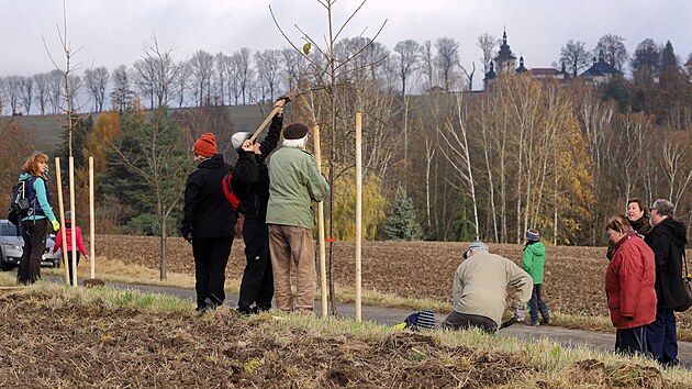 Lidé z iniciativy Chebsko za klima sázejí u Hartovy stezky 25 stromů - javor babyku a třešeň ptačí. (6. listopadu 2021)