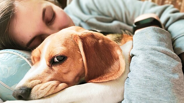 Na spaní v posteli společně se psem není vyhraněný názor, ale někdy to může vycházet k oboustranné spokojenosti.