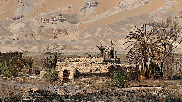 Saharské oázy vznikají v kotlinách, kde přirozeně vyvěrají vodní zdroje.