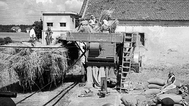 Ženy pracují na mlátičce obilí. (2. srpna 1939)