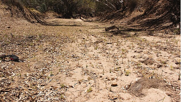Australská řeka Cooper Creek je známá díky objevné expedici Burkeho a Willse. Kvůli klimatickým změnám postupně vysychá.