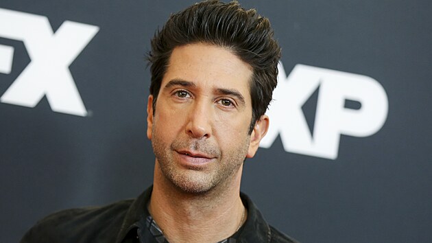 David Schwimmer (Pasadena, 16. ledna 2016)